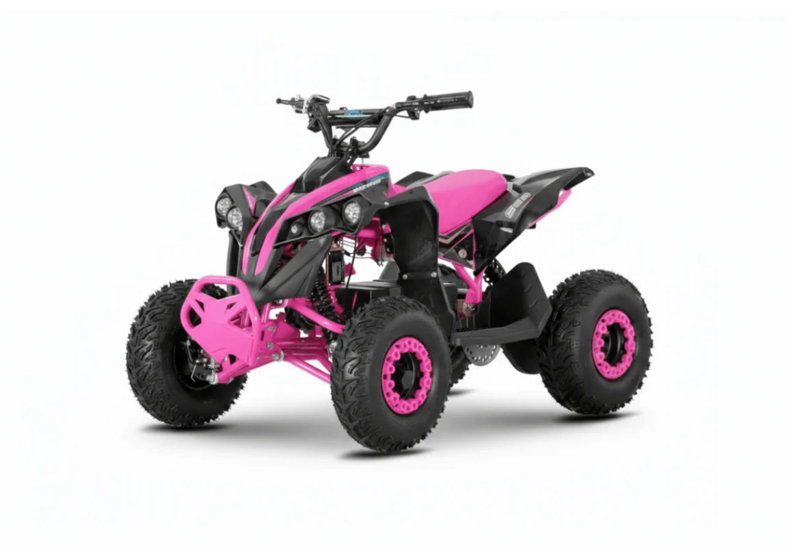 Trail Blazer 1200w 48v Electric Quad Bike’s