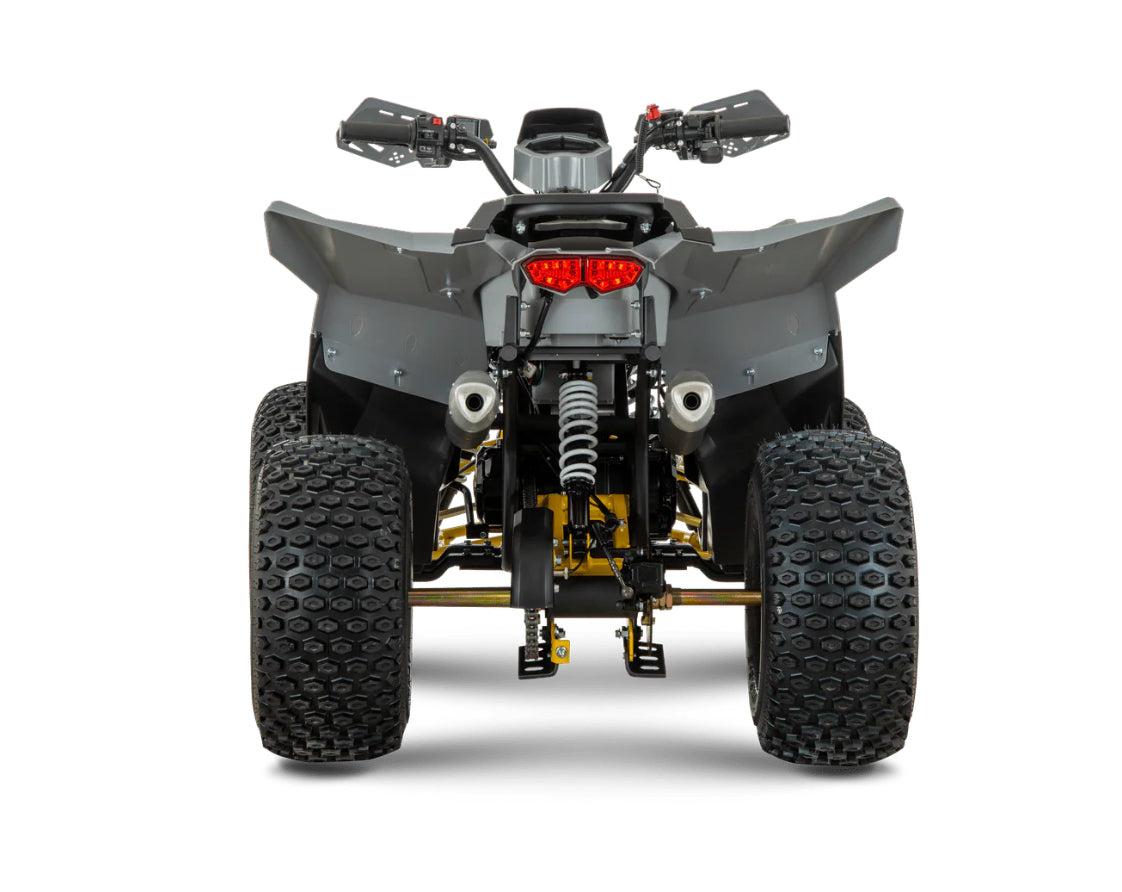 NEW!! Dazzle Transformer 125cc Junior Petrol Quad Bike!